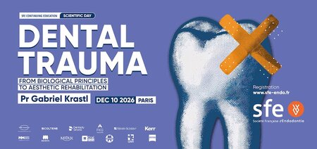 French Society of Endodontics Scientific Day on Dental Trauma