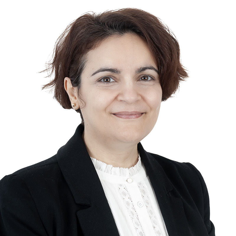 Research Committee_Athina Mavridou